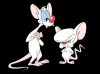 Pinky&theBrain.png