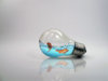 Fish In A Lightbulb.jpg