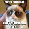 Stupid cat birthday cake.jpg